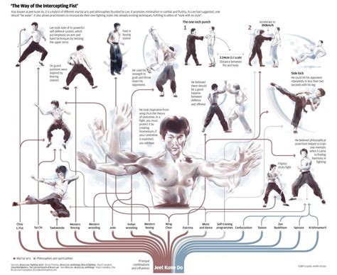 Which Martial Art is the Best: A Journey Through the Chaos of Combat Philosophies